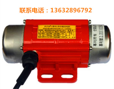 單相220V110振動(dòng)電機(jī)